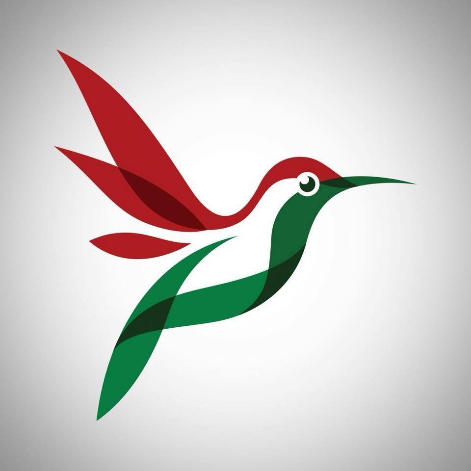 Aquarelão da Economia - Loja de Varejo em Olímpia-SP - Área 17 - Seu guia de empresas em São José do Rio Preto e região.