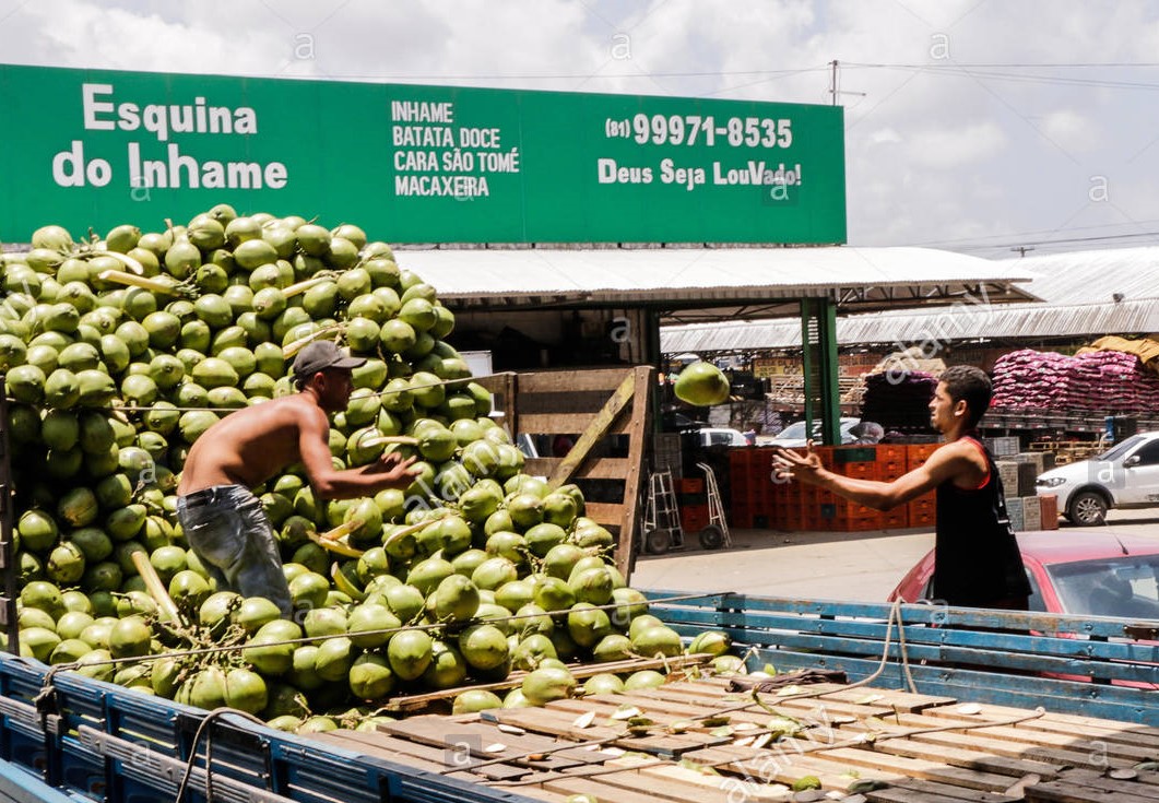 Esquina do Inhame Recife - Área 17 - Seu guia de empresas em São José do Rio Preto e região.
