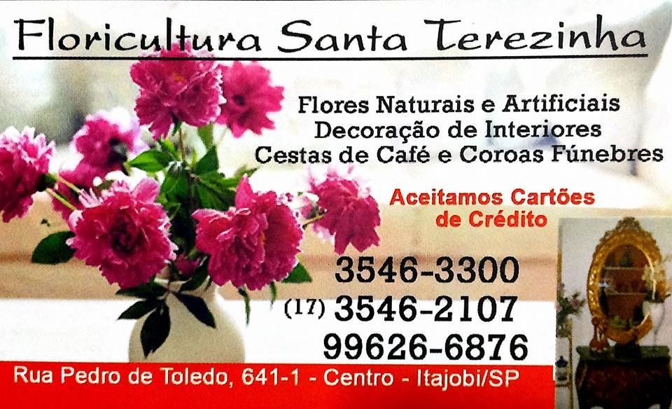Floricultura Santa Terezinha Itajobi - Área 17 - Seu guia de empresas em São José do Rio Preto e região.