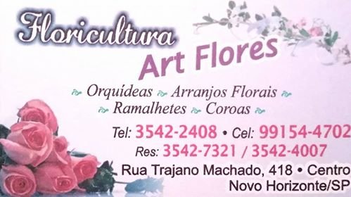 Floricultura Art Flores  Novo Horizonte - Área 17 - Seu guia de empresas em São José do Rio Preto e região.
