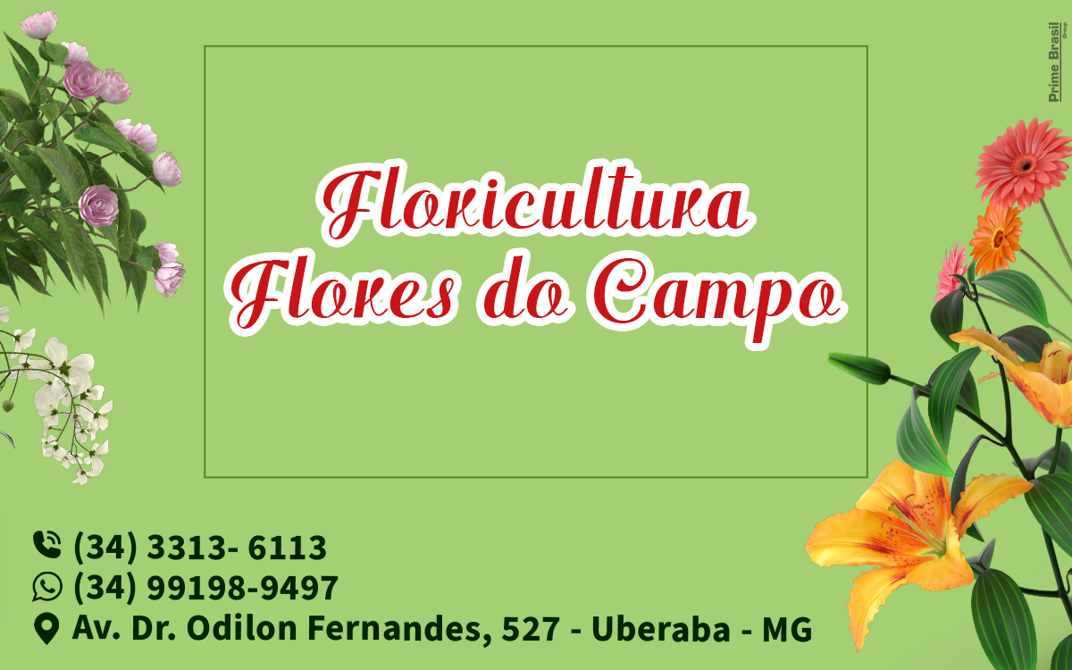Floricultura Flores do Campo Uberaba - Área 17 - Seu guia de empresas em São José do Rio Preto e região.