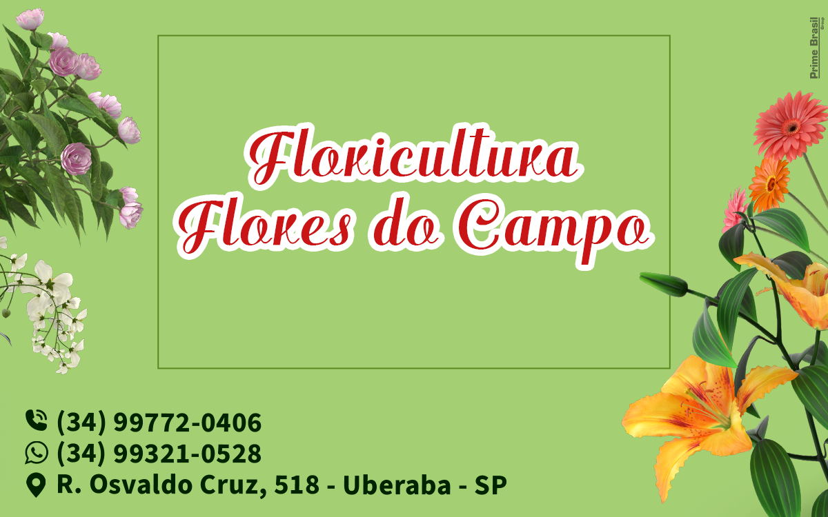 Floricultura Flores do Campo Uberaba Loja 2 - Área 17 - Seu guia de empresas em São José do Rio Preto e região.