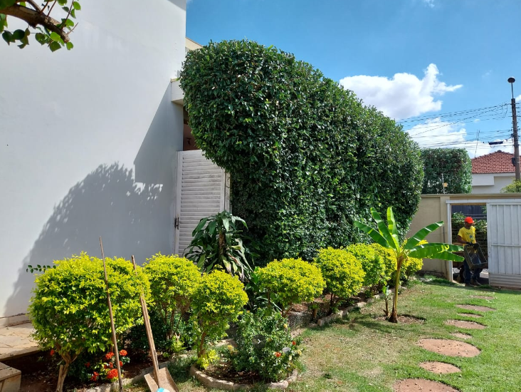 Índio Podador de Árvores - Jardinagem e Paisagismo em São José do Rio Preto-SP - Área 17 - Seu guia de empresas em São José do Rio Preto e região.
