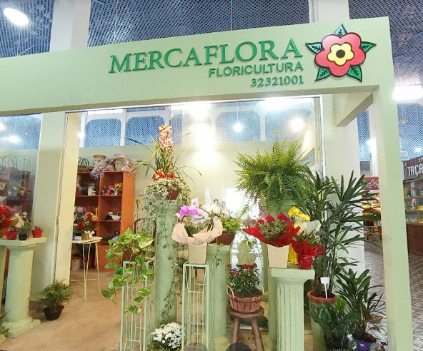 Merca Flora São José do Rio Preto - Área 17 - Seu guia de empresas em São José do Rio Preto e região.