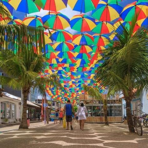 Porto Passeio Receptivo Tour Ipojuca - Área 17 - Seu guia de empresas em São José do Rio Preto e região.